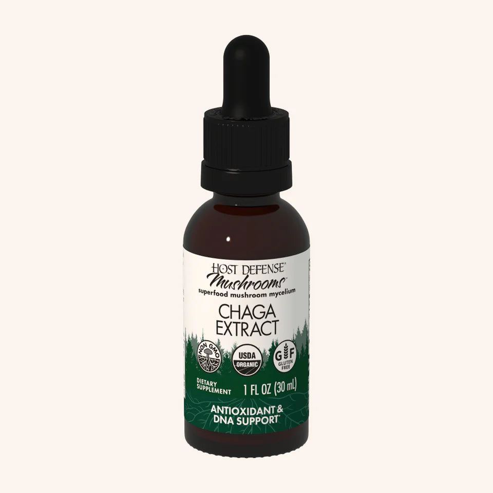 Chaga Extract