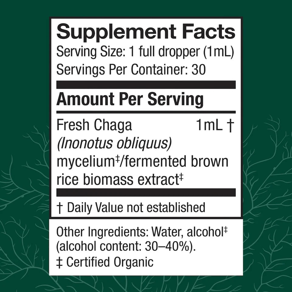 Chaga Extract