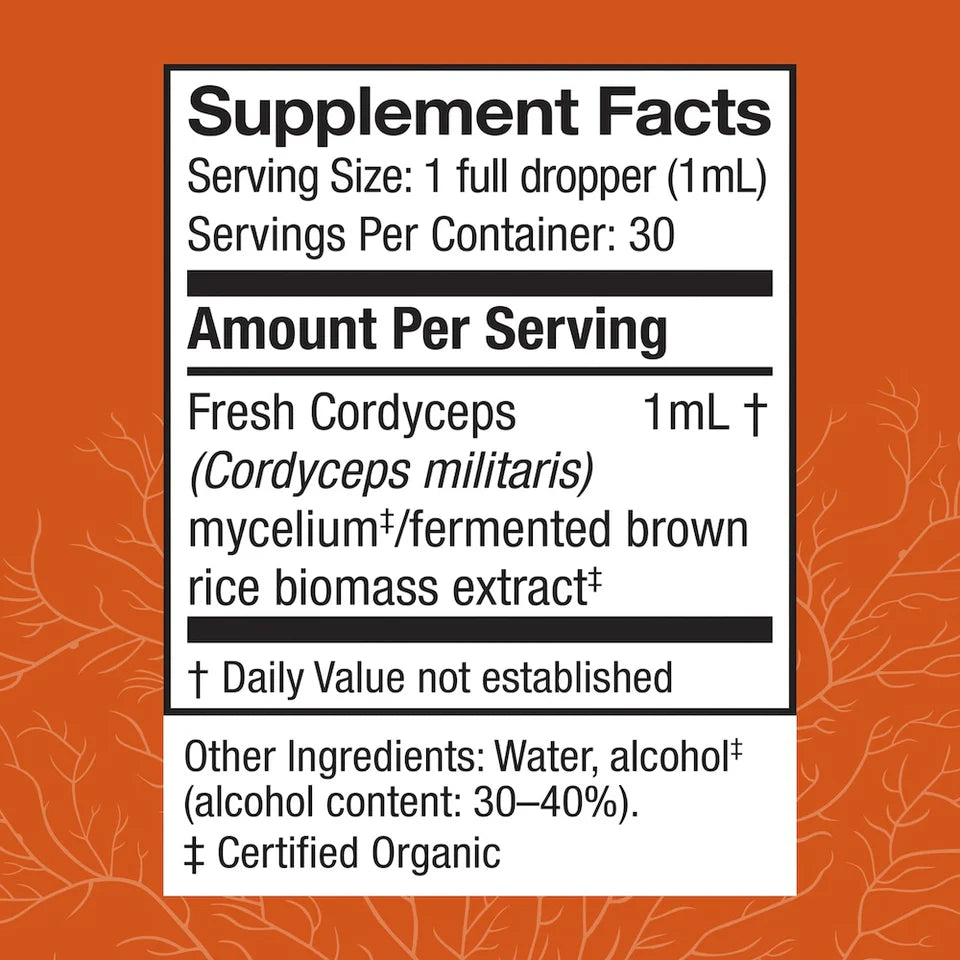 Cordyceps Extract