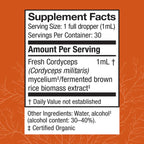 Cordyceps Extract