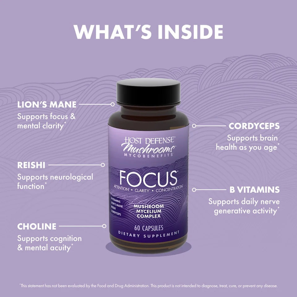 Focus Capsules - MycoBenefits