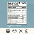 Mood Capsules - MycoBenefits