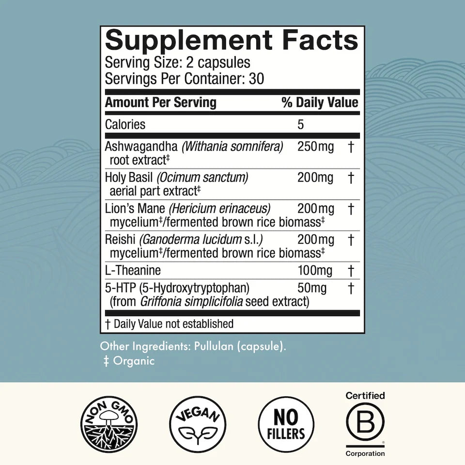 Mood Capsules - MycoBenefits