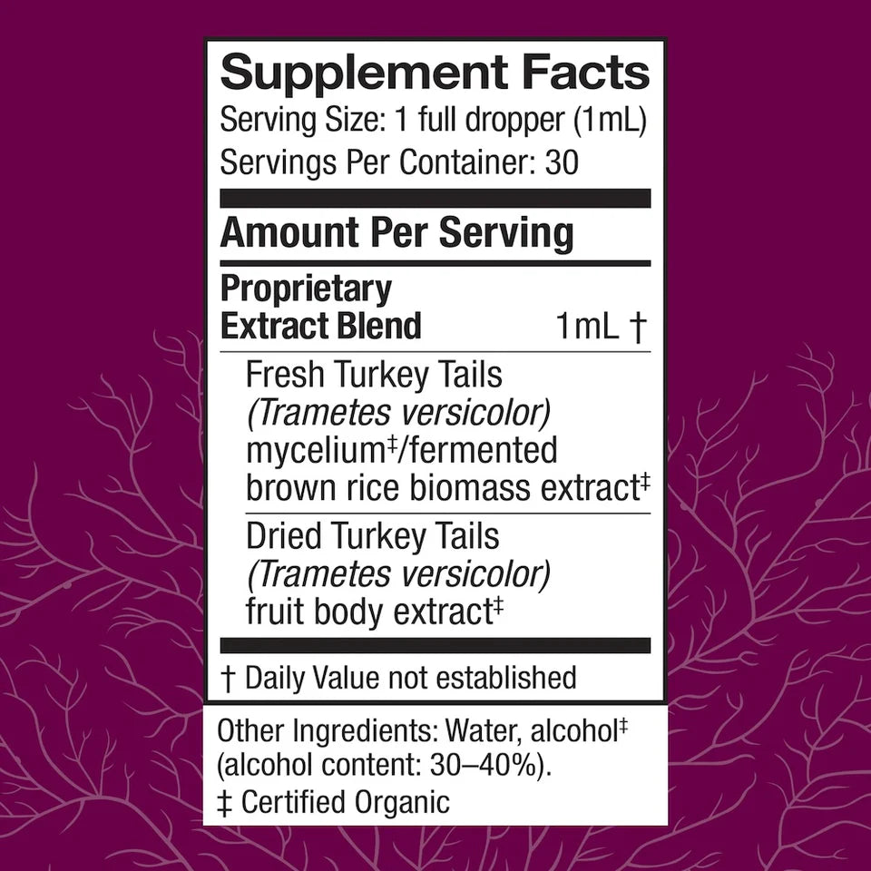 Turkey Tail Extract