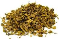 Yellow Dock root