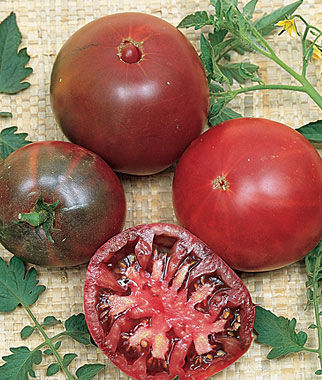 Vegetable: Tomato- Black Krim