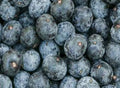 Acai berry