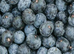 Acai berry