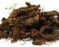 Blood root whole