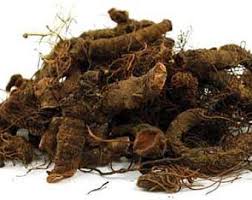 Blood root whole