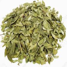 Buchu leaf