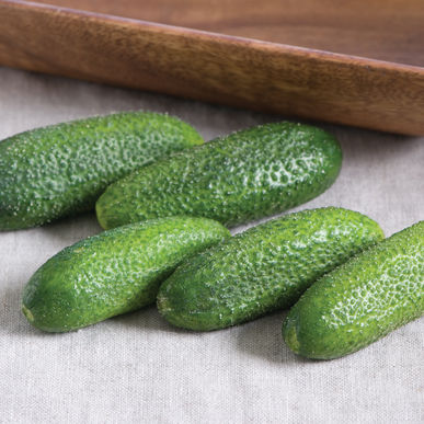Vegetable: Cucumber-Pickling Adam Gerkin
