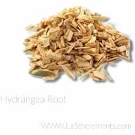 Hydrangea root cut