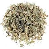 Load image into Gallery viewer, Mullein leaf
