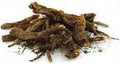 Osha root