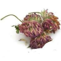 Load image into Gallery viewer, Red Clover blossoms
