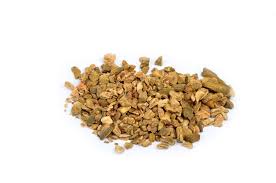 Rhubarb root