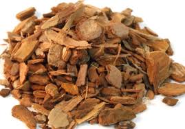 Sassafrass root bark