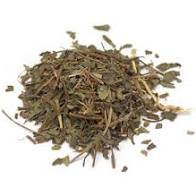 Squawvine herb