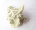Usnea Lichen whole